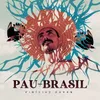 Pau-Brasil