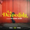 About La Despedida Song