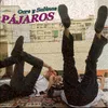 About Pájaros Song