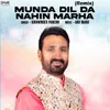 About Munda Dil Da Nahin Marha Remix Song