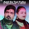 About Amli Da Tori Fulka Song