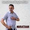 About Senidemi Kaybettim Song