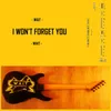 About I Won't Forget You Song
