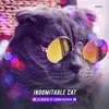 About Indomitable Cat Song