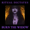 About Burn the Widow Song