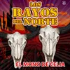 About El Mono de Celia Song