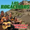 About Corrido a Pénjamo Song