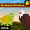 About The Turtle And The Eagle Song