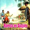 Guajira en Re Menor