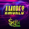 About Amores Sin Sentimientos Song