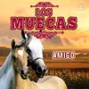 Amigo