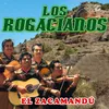 About El Zacamandú Song