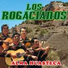 About Alma Huasteca Song
