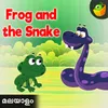 Frogs And The Snake