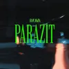 About Parazit Song