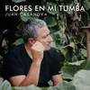 About Flores en Mi Tumba Song