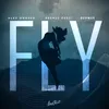 About Fly Song