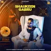 About Shaukeen Gabru Song