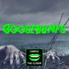 About Goosebumps Song