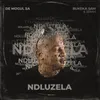 About Ndluzela Song