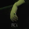 About Leon Song