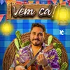 About Vem Cá Song