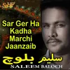 About Sar Ger Ha Kadha Marchi Jaanzaib Song