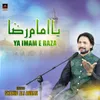 About Ya Imam E Raza Song