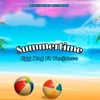 About Summertime Song