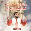 About Ya Ghazi Shahenshah Song