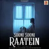 About Sooni Sooni Raatein Song