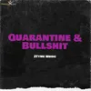 About Quarantine & Bullshit Song