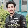 About Teri Yaadien Song