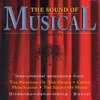 The Sound Of Music (Main Theme)