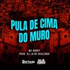 About Pula de Cima do Muro Song