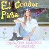 About El Condor Pasa Song