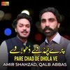 About Pare Chad De Dhola Ve Song