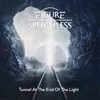 About Tunnel at the End of the Light Song