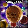 About Vida Loca Song