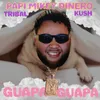 About Guapa Guapa Song