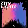 About City Lights Song