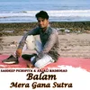 About Balam Mera Gana Sutra Song