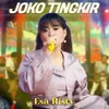 About Joko Tingkir Song