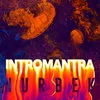 About Intromantra Song