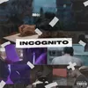 About INCOGNITO Song