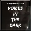 About Voices In The Dark Song