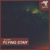Flying Star Re-Found Mix