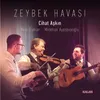 About Zeybek Havası Song