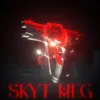 About Skyt Meg Song