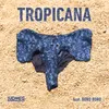 About TROPICANA (feat. Boro Boro) Song